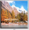 /album/photo-gallery-canvas-uri/decoratiuni-de-perete-canvas-lc-0822-jpg/